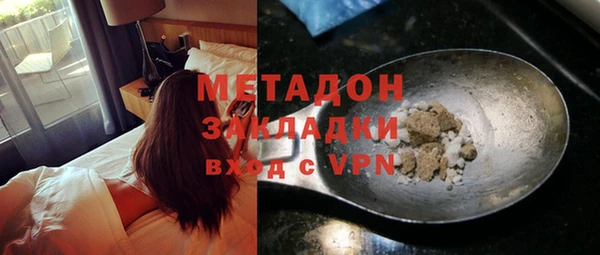 прущие грибы Каменногорск