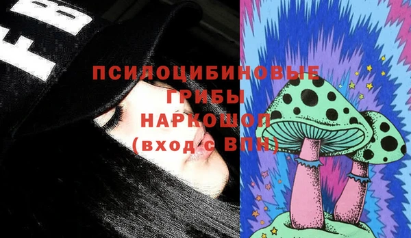 прущие грибы Каменногорск