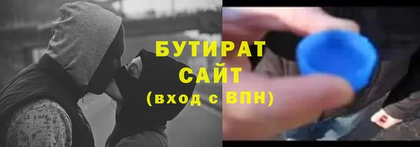 прущие грибы Каменногорск