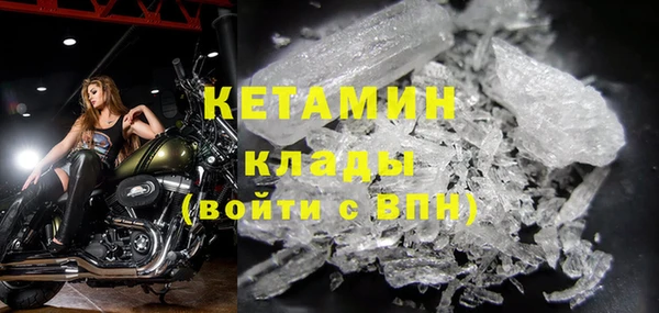 прущие грибы Каменногорск