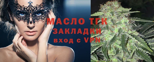 прущие грибы Каменногорск