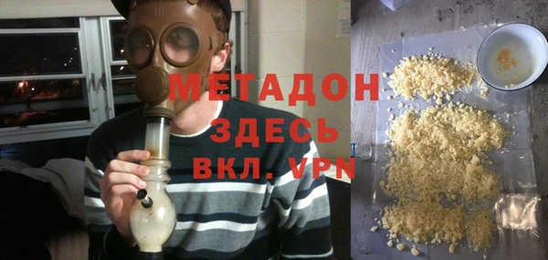 прущие грибы Каменногорск