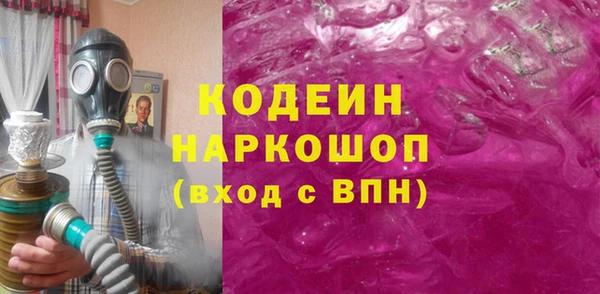 прущие грибы Каменногорск