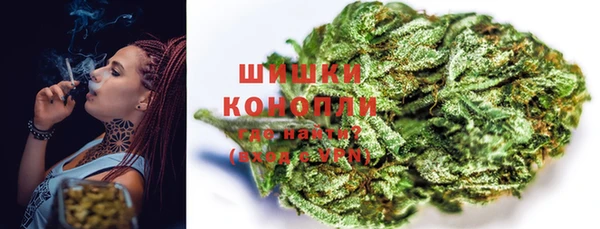 прущие грибы Каменногорск