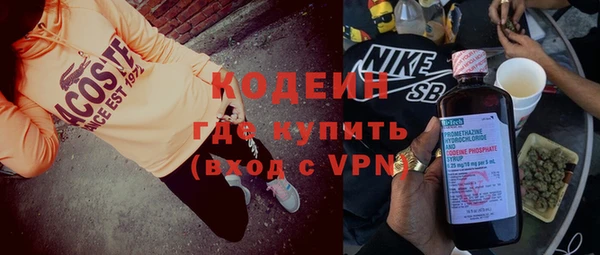 прущие грибы Каменногорск