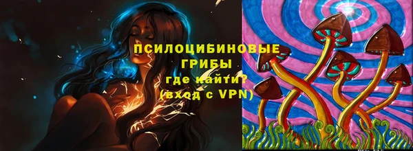 ALPHA-PVP Каменка