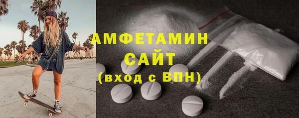 прущие грибы Каменногорск
