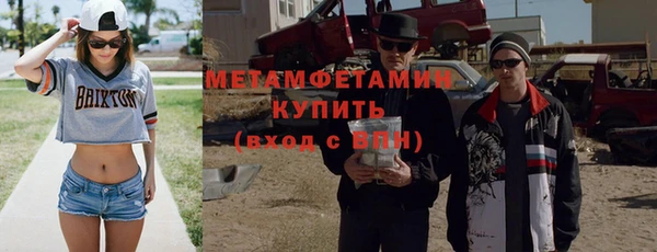 прущие грибы Каменногорск