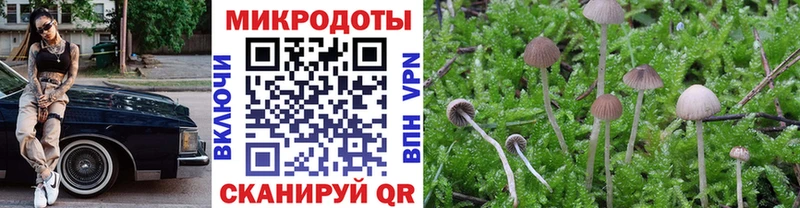 Псилоцибиновые грибы ЛСД  Купить закладки  Пугачёв 